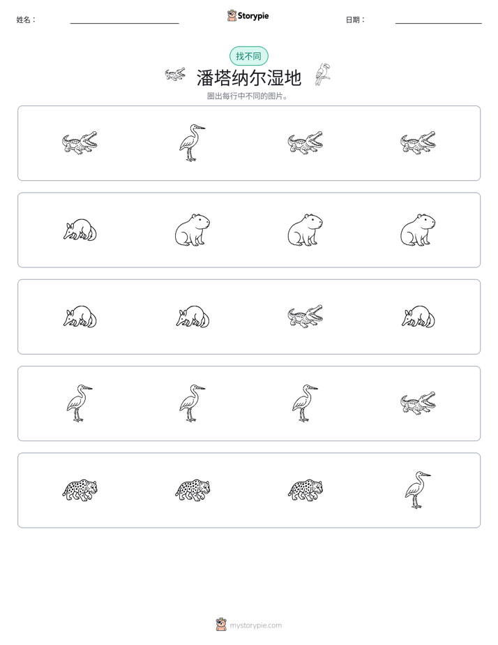 找不同