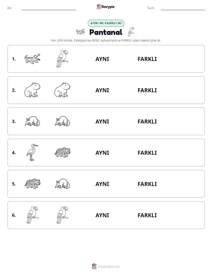 Aynı mı Farklı mı