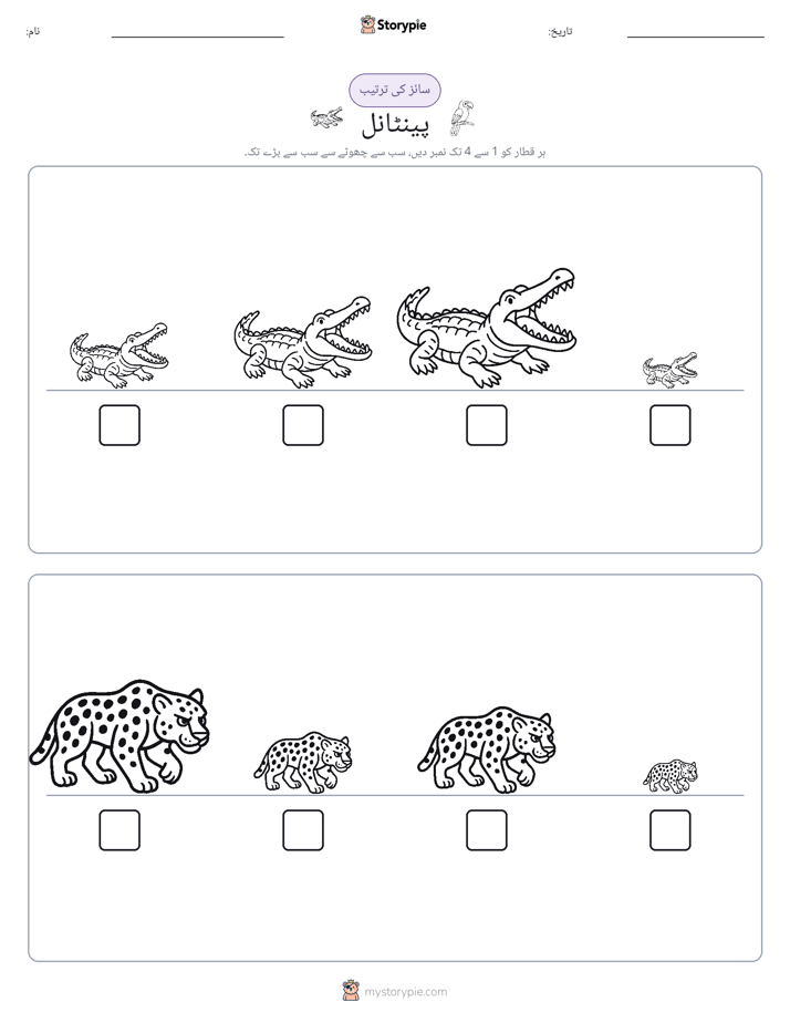 سائز کی ترتیب