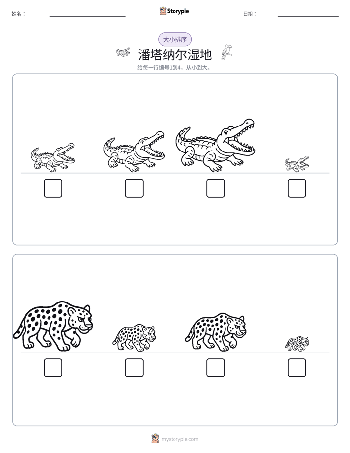 大小排序