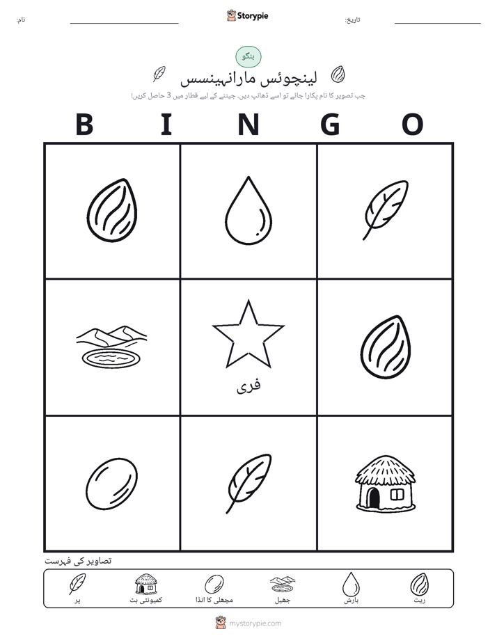 تصویری بنگو