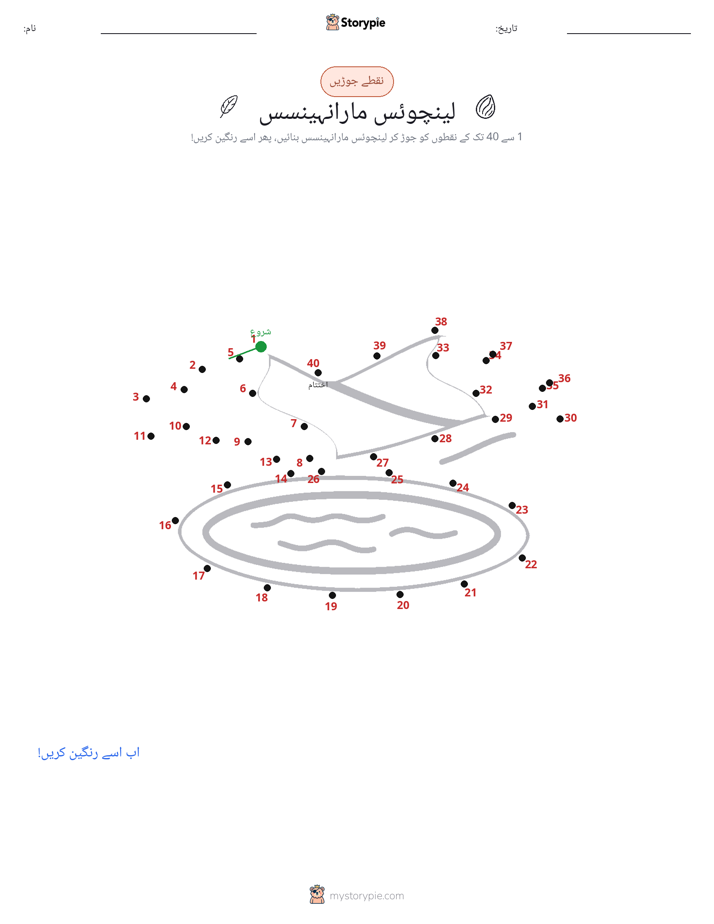 نقطے سے نقطے تک