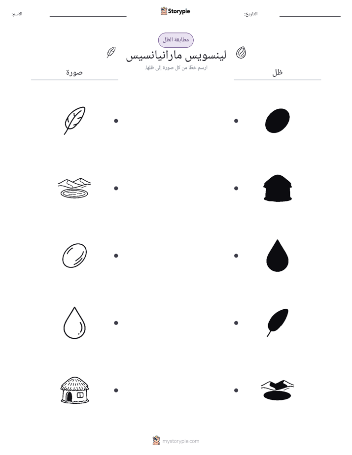 مطابقة الظل