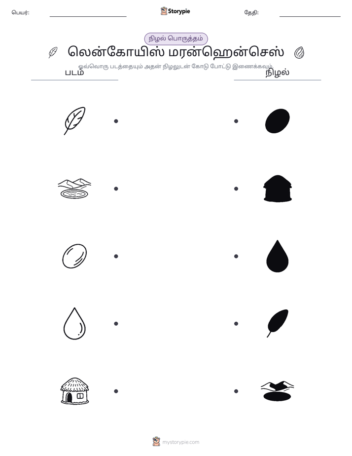 நிழல் பொருத்தம்