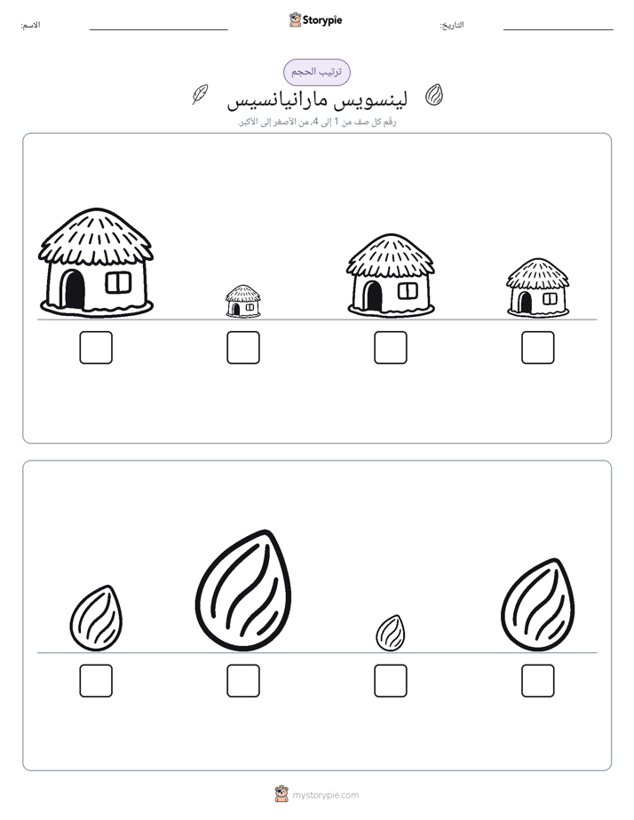 ترتيب الحجم