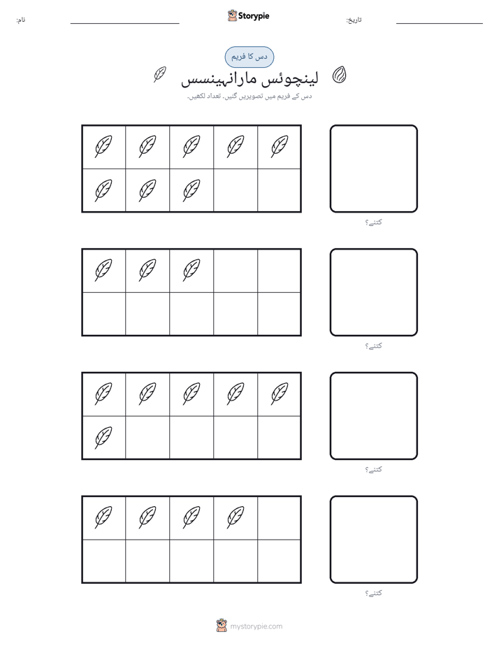 دس کا فریم