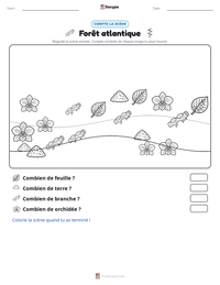 Aperçu de la feuille de travail imprimable Forêt atlantique