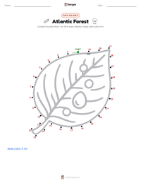 Atlantic Forest printable worksheet preview