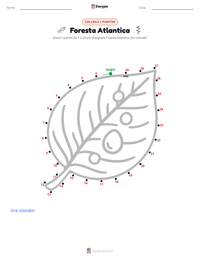Anteprima della scheda stampabile di Foresta Atlantica