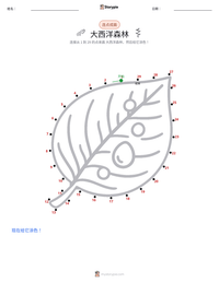 大西洋森林 可打印工作表预览