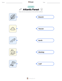 Atlantic Forest printable worksheet preview