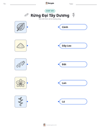 Xem trước tài liệu in sẵn Rừng Đại Tây Dương