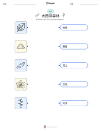 大西洋森林 可打印工作表预览