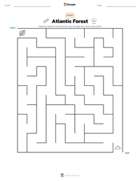 Atlantic Forest printable worksheet preview