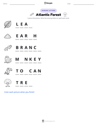 Atlantic Forest printable worksheet preview