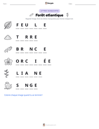 Aperçu de la feuille de travail imprimable Forêt atlantique
