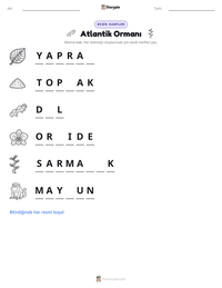 Atlantik Ormanı yazdırılabilir çalışma sayfası önizlemesi