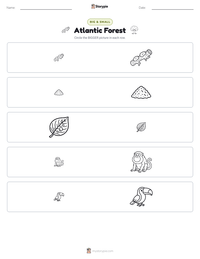 Atlantic Forest printable worksheet preview