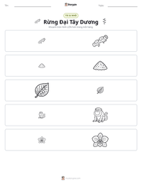 Xem trước tài liệu in sẵn Rừng Đại Tây Dương