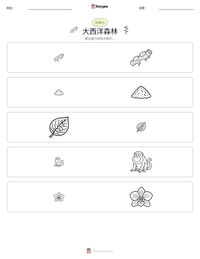 大西洋森林 可打印工作表预览