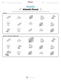 Atlantic Forest printable worksheet preview