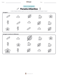 Anteprima della scheda stampabile di Foresta Atlantica