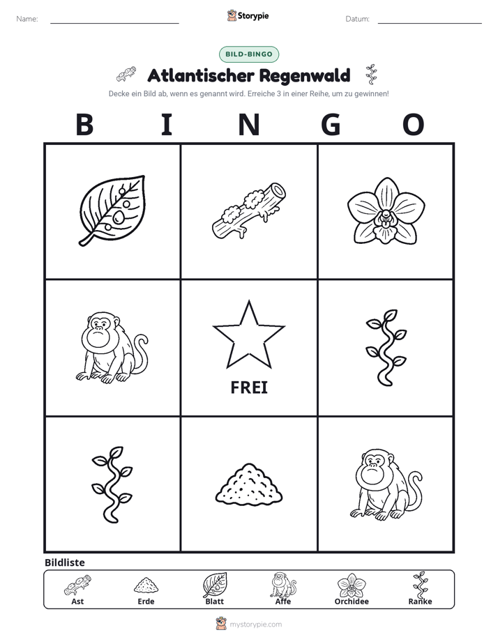 Bild-Bingo