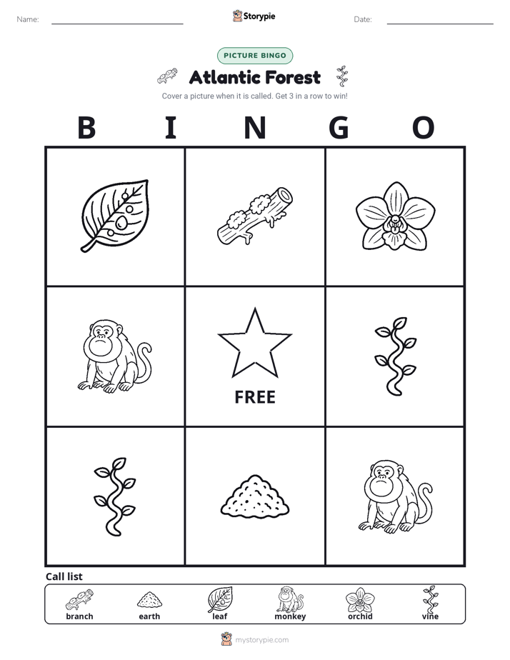 Picture Bingo