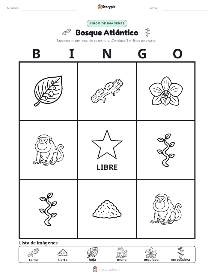 Bingo de Imágenes