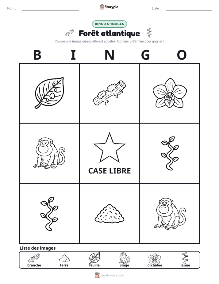 Bingo d'Images
