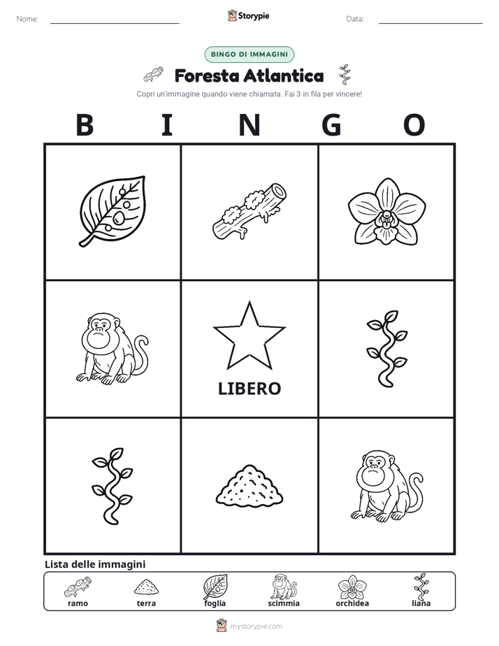 Bingo delle Immagini