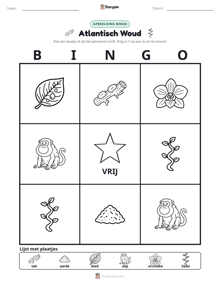 Afbeelding Bingo