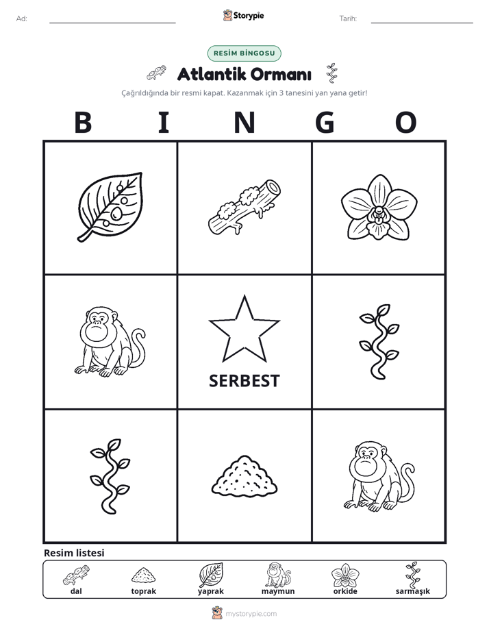 Resim Bingo