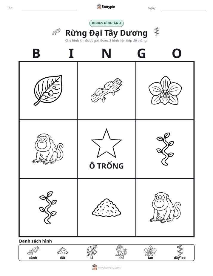 Bingo Hình Ảnh