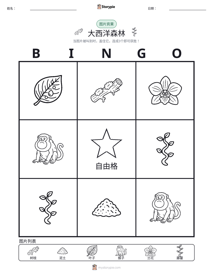 图片宾果