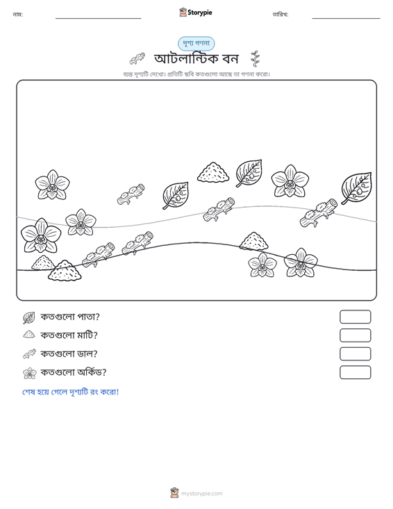 গণনা দৃশ্য
