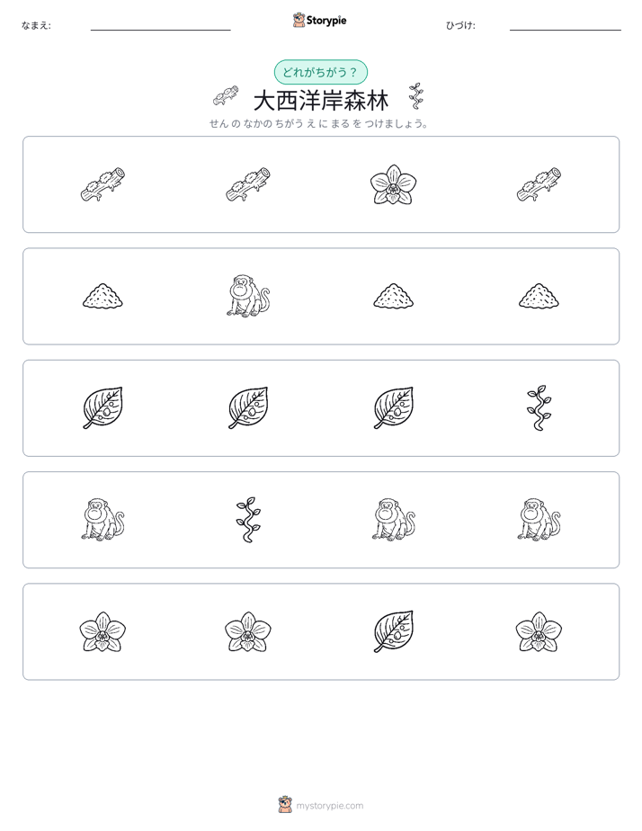 異なるものを見つけよう