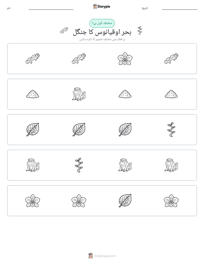 عجیب ایک