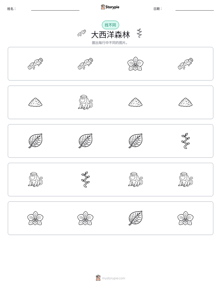 找不同