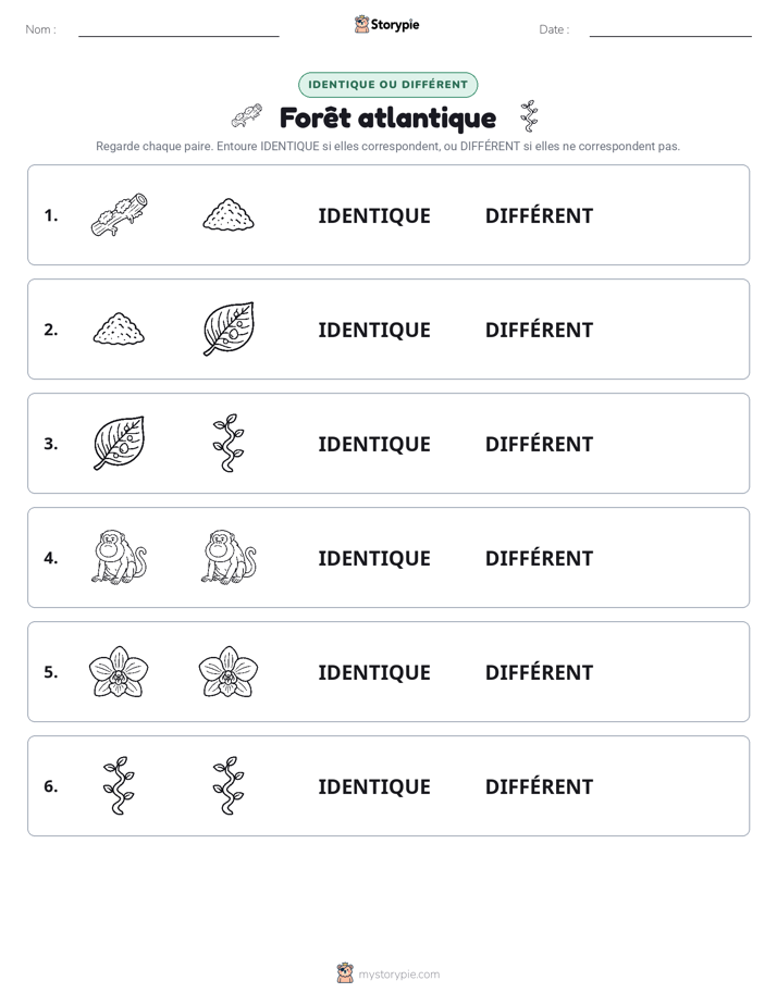 Identique ou Différent
