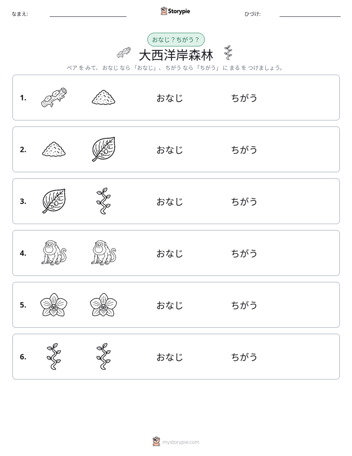 同じか違うか