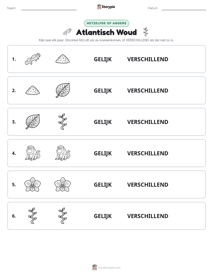 Zelfde of Verschillend