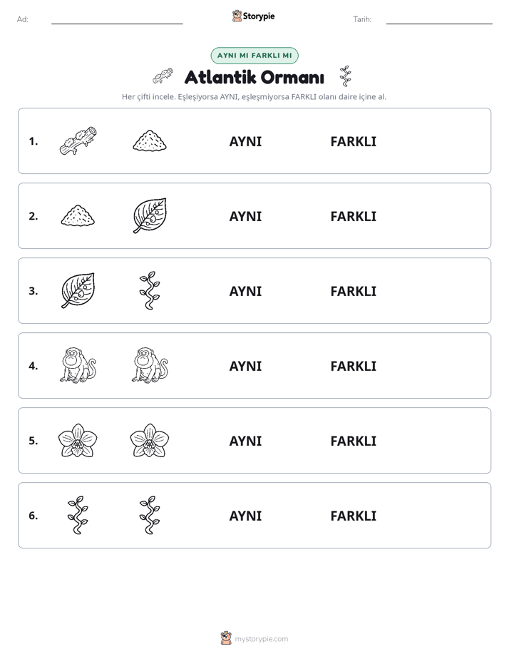 Aynı mı Farklı mı