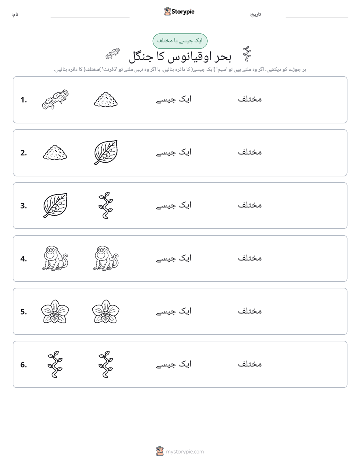 ایک جیسا یا مختلف