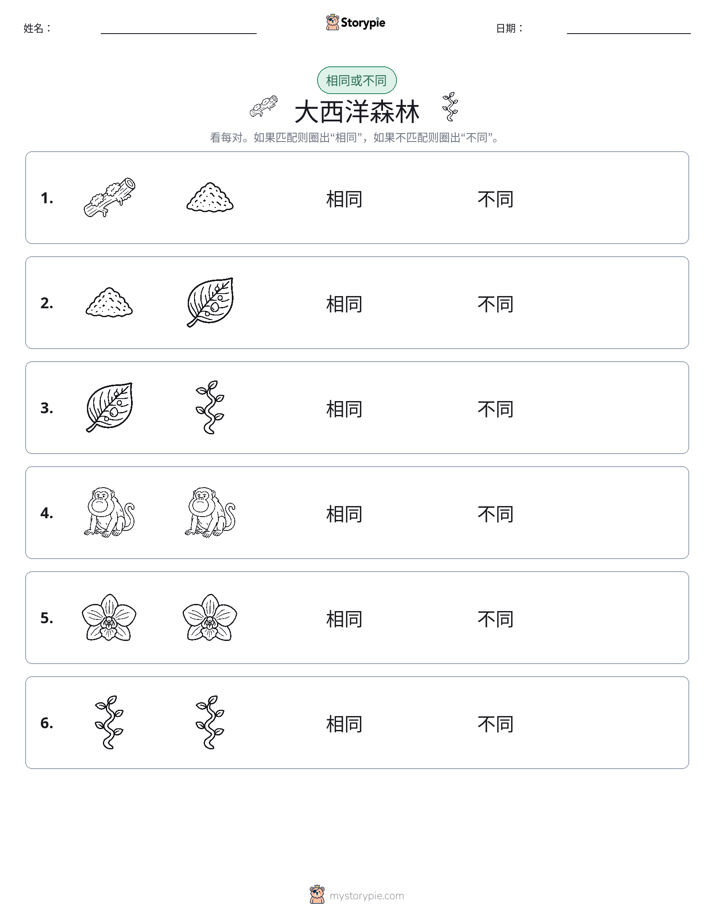 相同或不同