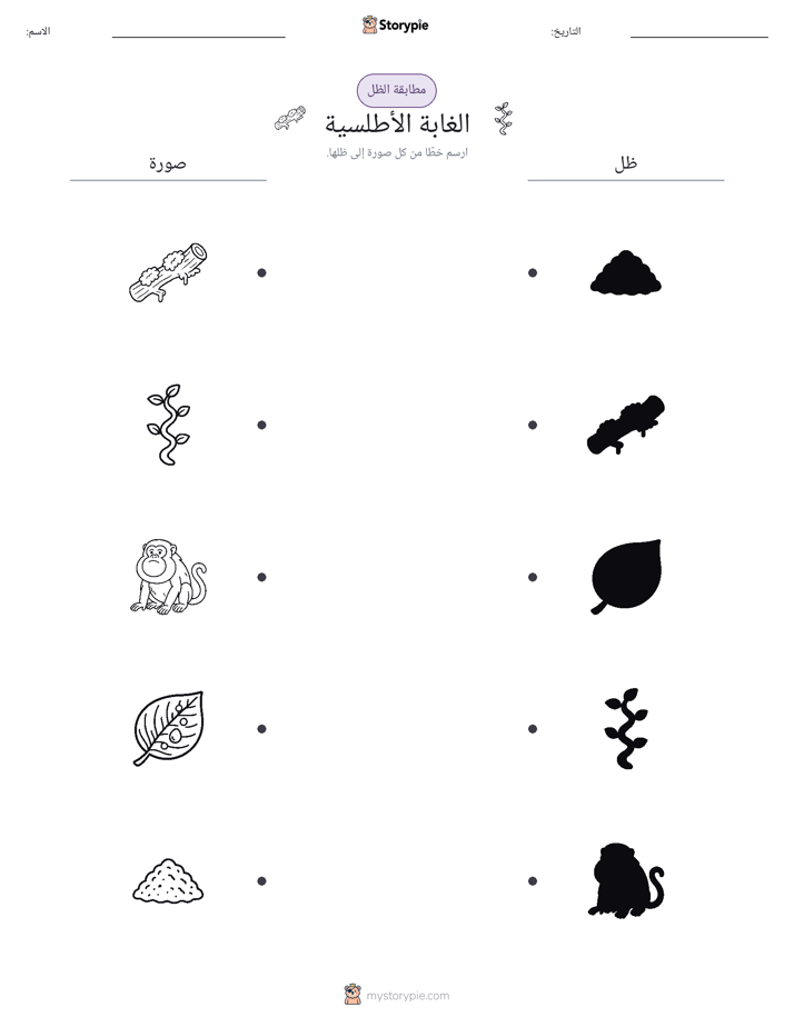 مطابقة الظل
