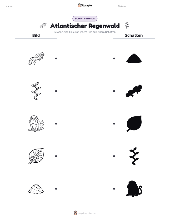 Schattenmatch
