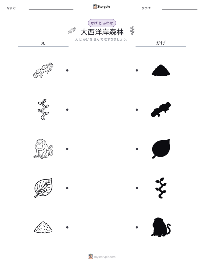 シャドウマッチ