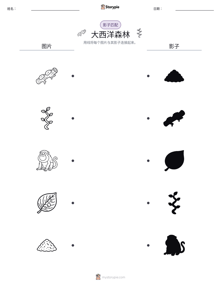 影子匹配