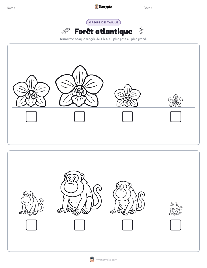 Ordre de Taille